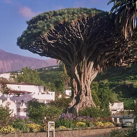 San Agustin * إيكود ذي لوس فينوس